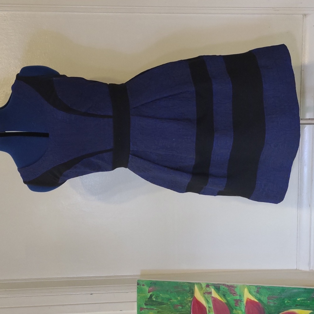 Olog Cassini Dress